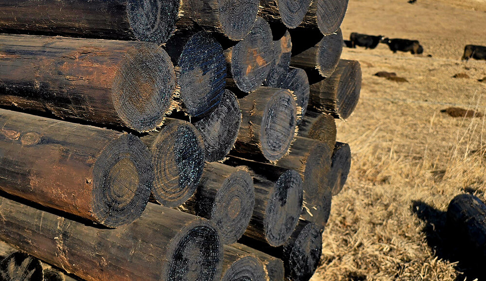 Fence Posts